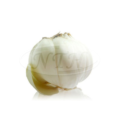 Lily Bulb/ Mentol Lili